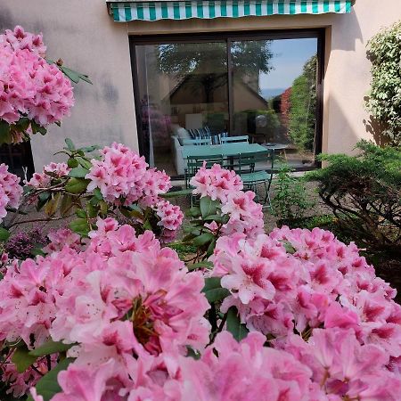 דירות רודז Le Denyspuech 55M2 Plein Centre Avec Jardin! מראה חיצוני תמונה